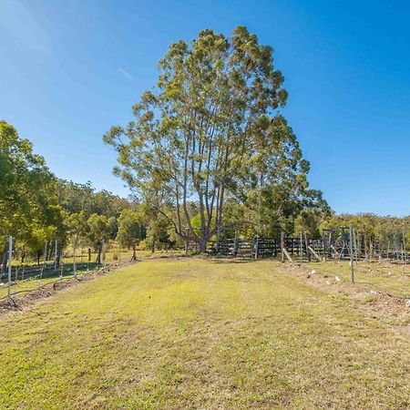 فيلا Widgereedoo Farm. Vineyard Views. Peaceful Retreat. Tamaree المظهر الخارجي الصورة