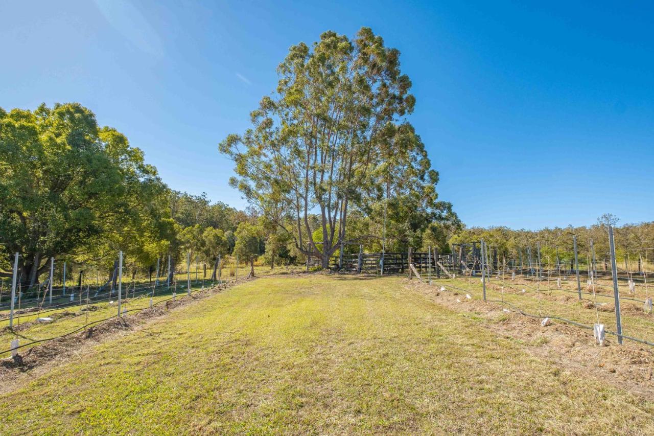 فيلا Widgereedoo Farm. Vineyard Views. Peaceful Retreat. Tamaree المظهر الخارجي الصورة