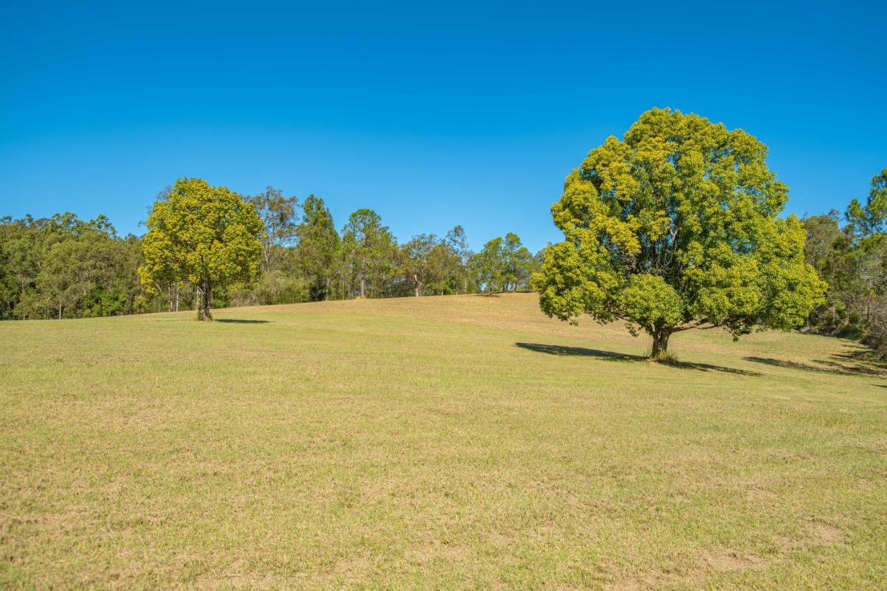 فيلا Widgereedoo Farm. Vineyard Views. Peaceful Retreat. Tamaree المظهر الخارجي الصورة